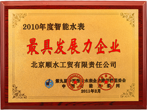 2010年度智能水表最具发展力企业